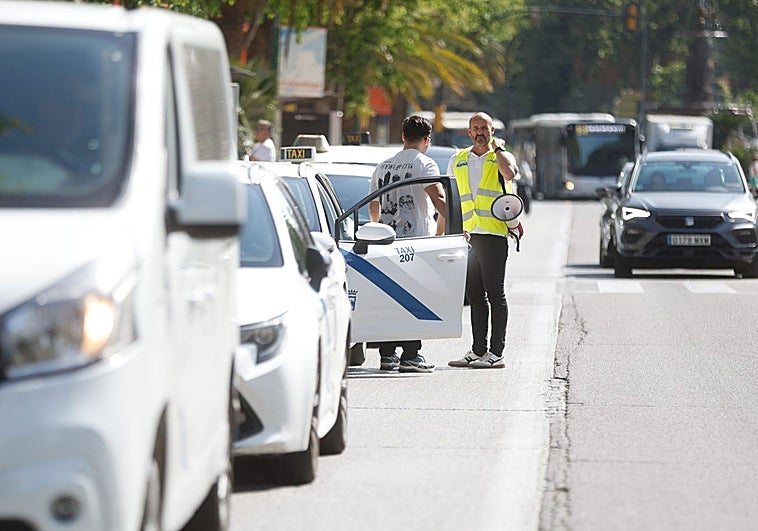 Los taxistas recurren ante el TSJA las 60 nuevas licencias en Málaga capital