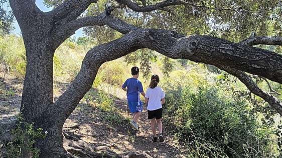 Ruta del Alcornocal de la Roza del Aguado: Un sendero circular ideal para hacer en familia a un paso de la playa