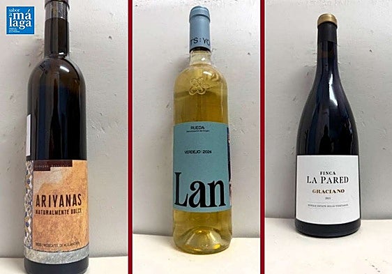 La cata: los vinos recomendados en la tercera semana de mayo