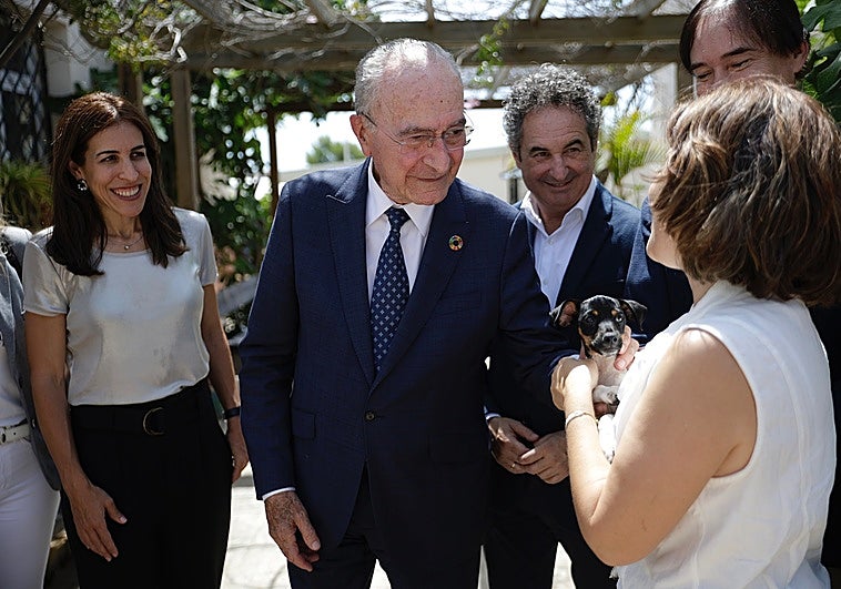 Málaga mejora el Centro de Protección Animal con urgencias, zona de hospitalización y quirófano