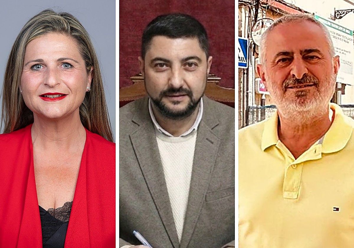 El efecto dominó de las elecciones andaluzas en Málaga