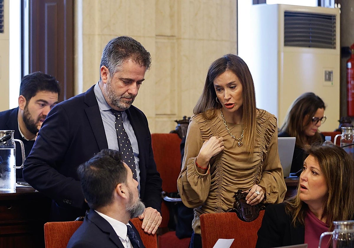 «El Gobierno sí tiene para los trenes de Cataluña, pero no para los de Málaga»