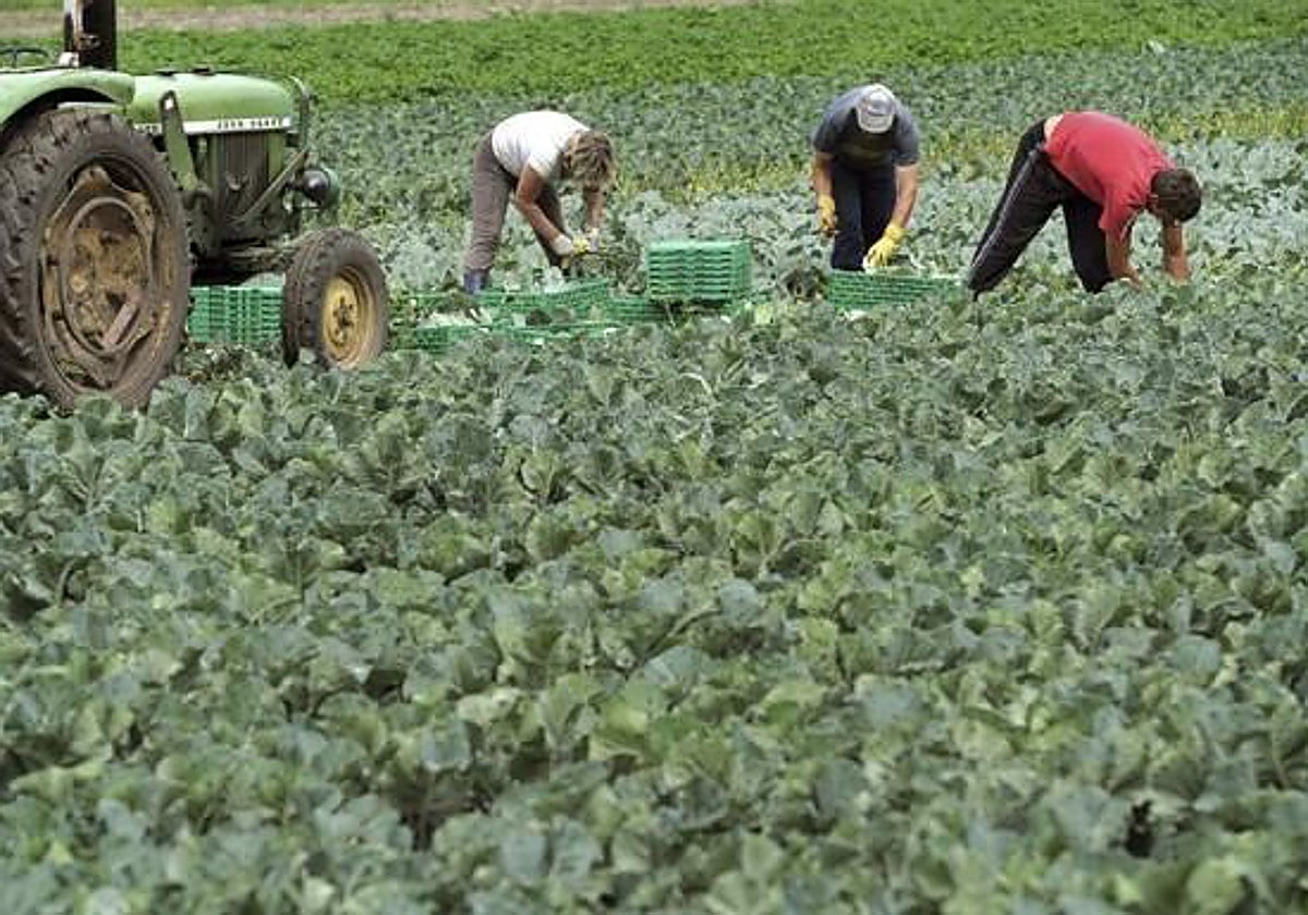 La Junta destina 130 millones para contribuir al relevo generacional en el campo andaluz