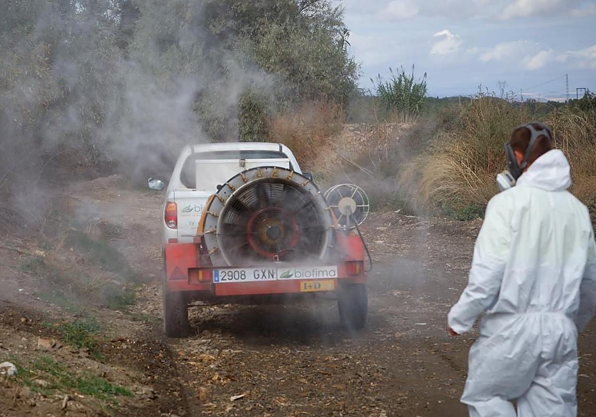 Segunda muerte en Andalucía por fiebre del virus del Nilo tras fallecer un vecino de 89 años de una pedanía de Utrera