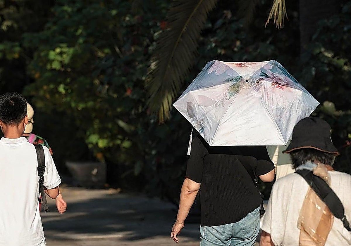 Aemet prevé un otoño «más cálido de lo normal» y con fenómenos lluviosos «más intensos de lo normal» en Andalucía – Diario Sur