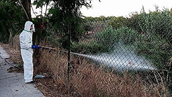 Un hombre ingresado en El Puerto de Santa María por un nuevo caso de virus del Nilo en Andalucía