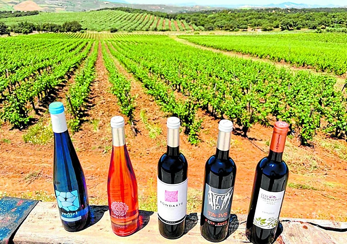 Bodegas Excelencia: un espacio idílico para elaborar vinos e impulsar el enoturismo