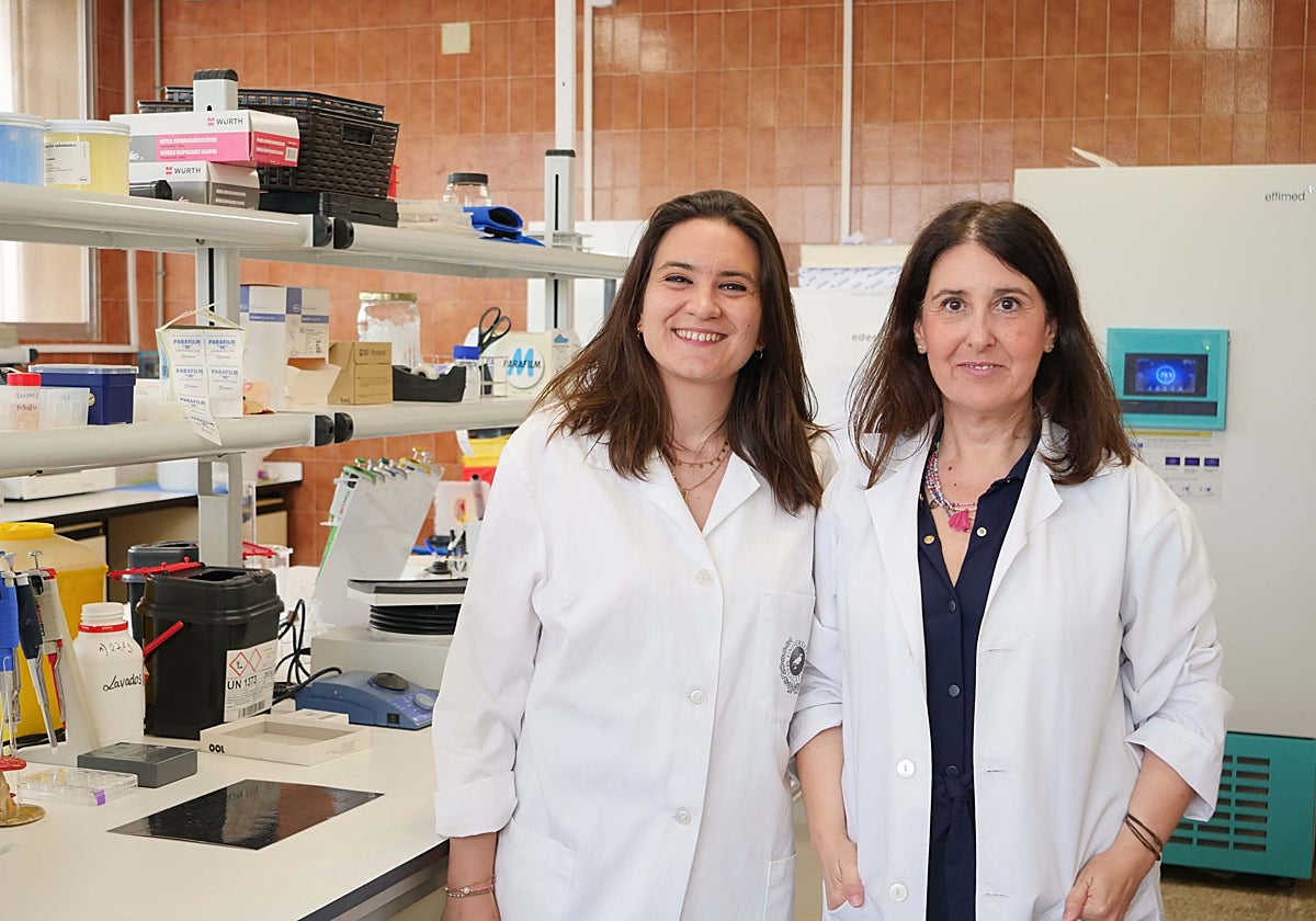 Científicos de la UMA logran mejorar la eficacia analgésica de la morfina