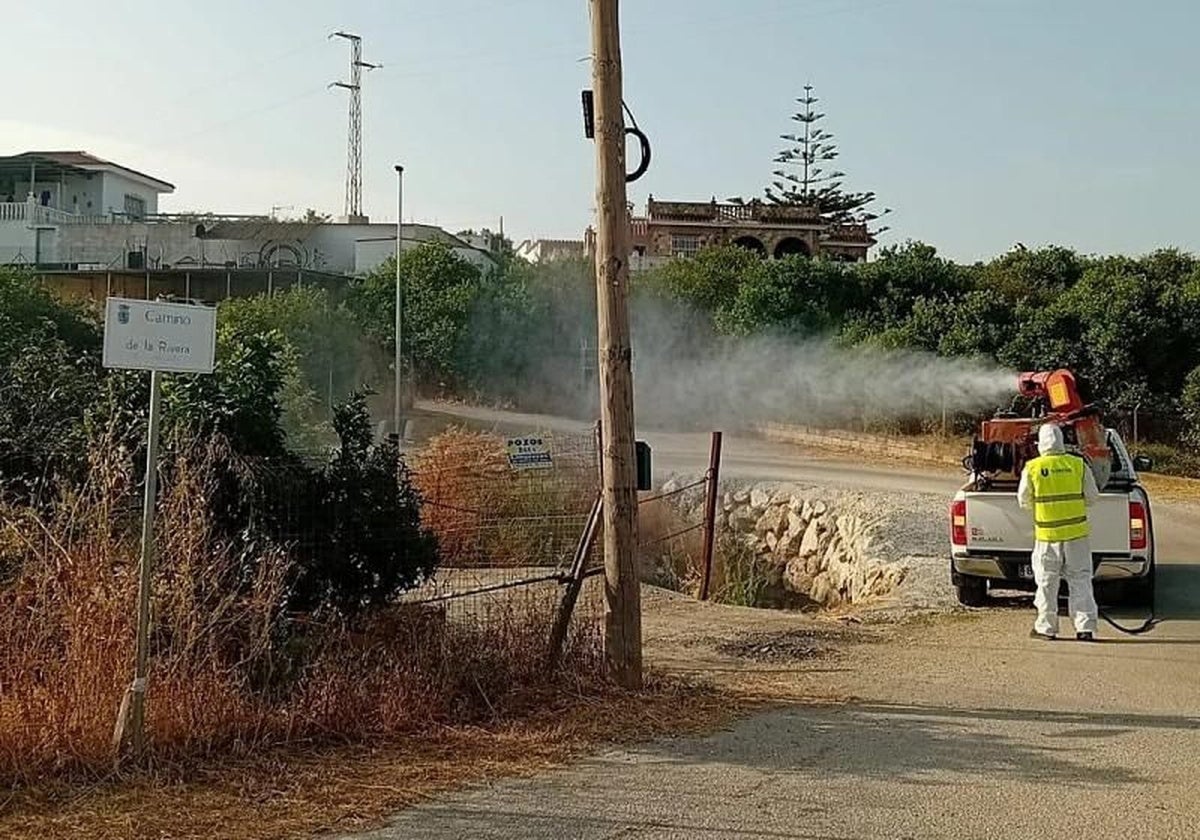 Decretan a Fuengirola y Las Lagunas como áreas en alerta tras detectar mosquitos con el virus del Nilo occidental