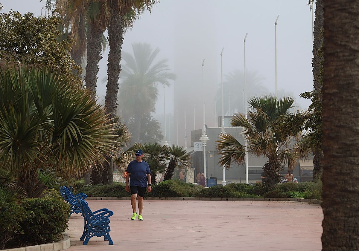 Gran parte de la provincia amanece cubierta de taró: la niebla mítica que nace del mar y que riega los montes de Málaga