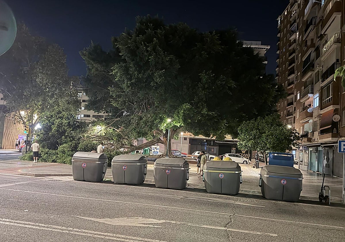 La cuarta caída de ramas de un árbol en Málaga en ocho días alarma a los vecinos