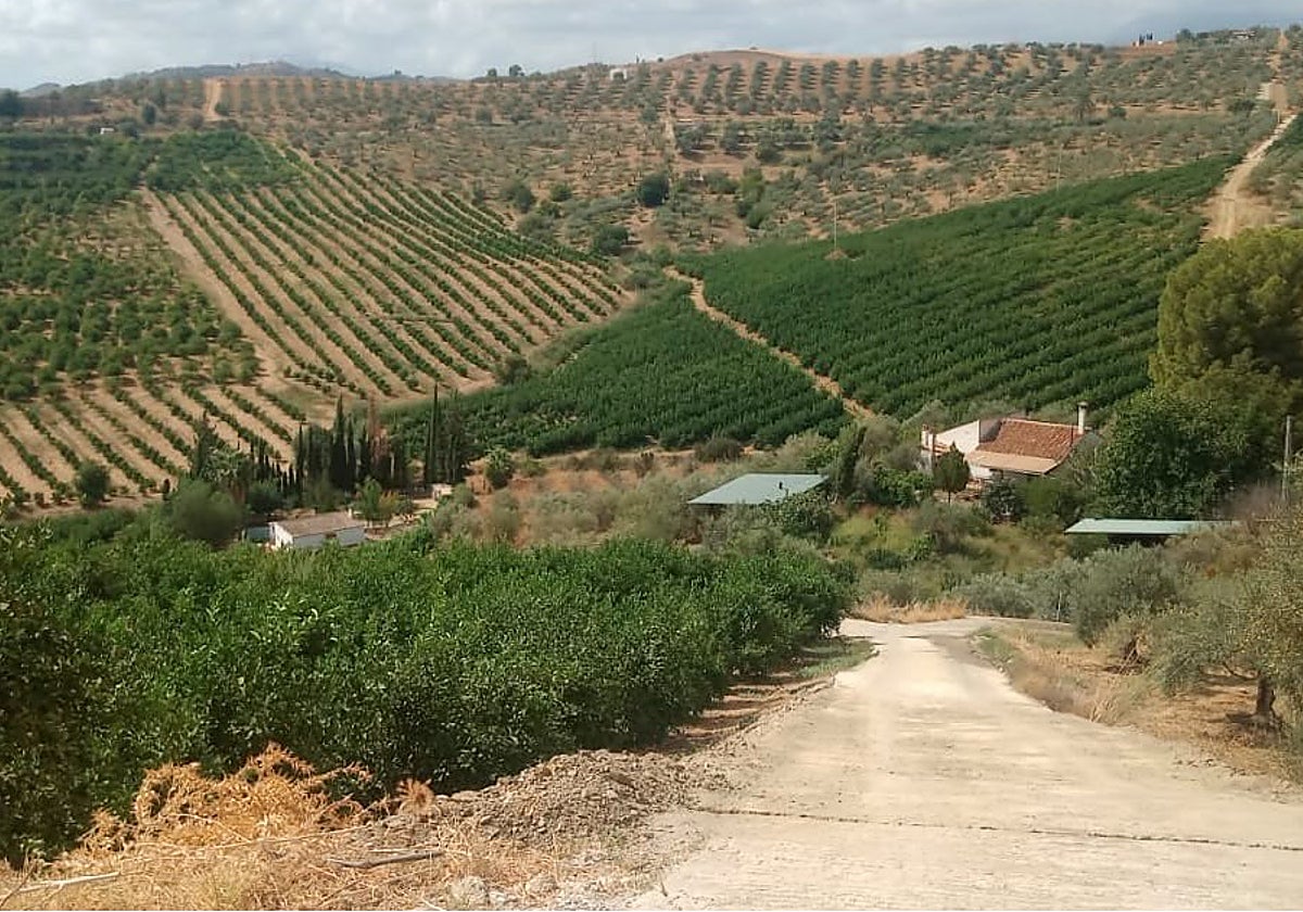 Vecinos de Álora denuncian años de cortes de agua y falta de presión en sus viviendas