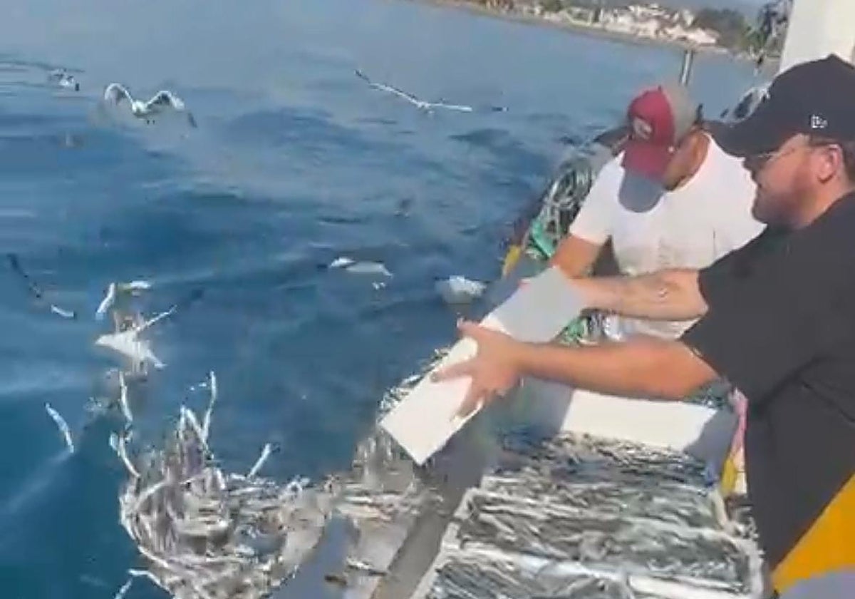 Pescadores de Caleta de Vélez tiran al mar una tonelada de boquerones porque no los compran en la lonja
