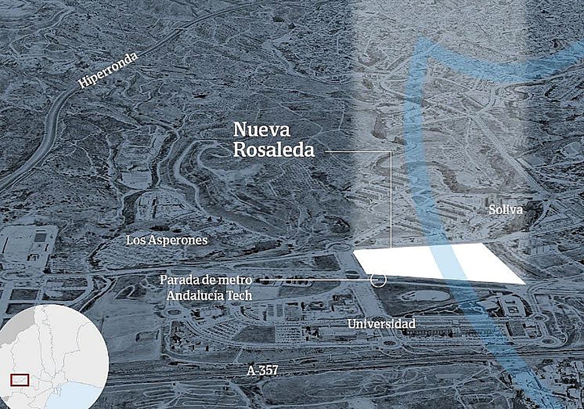 La UMA perfila la composición de la comisión que analizará el proyecto de la nueva Rosaleda