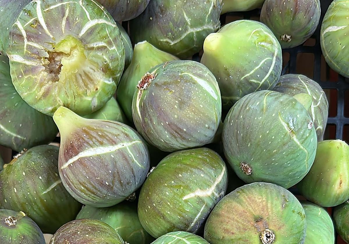 Higo de la Reina: dulce, tardío y malagueño