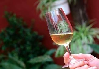 La Diputación de Huelva impulsa la excelencia agroalimentaria de la provincia en el encuentro SUR Wines&Gourmet 2026