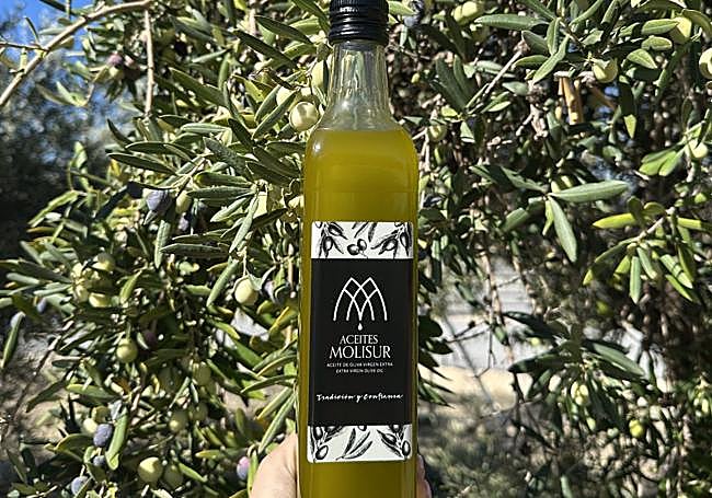 AOVE de manzanilla aloreña elaborado por Molisur.