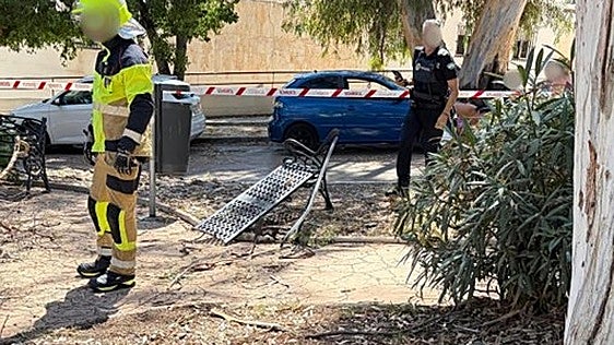 Dos jóvenes evacuadas al hospital en Málaga capital tras la caída de la rama de un árbol