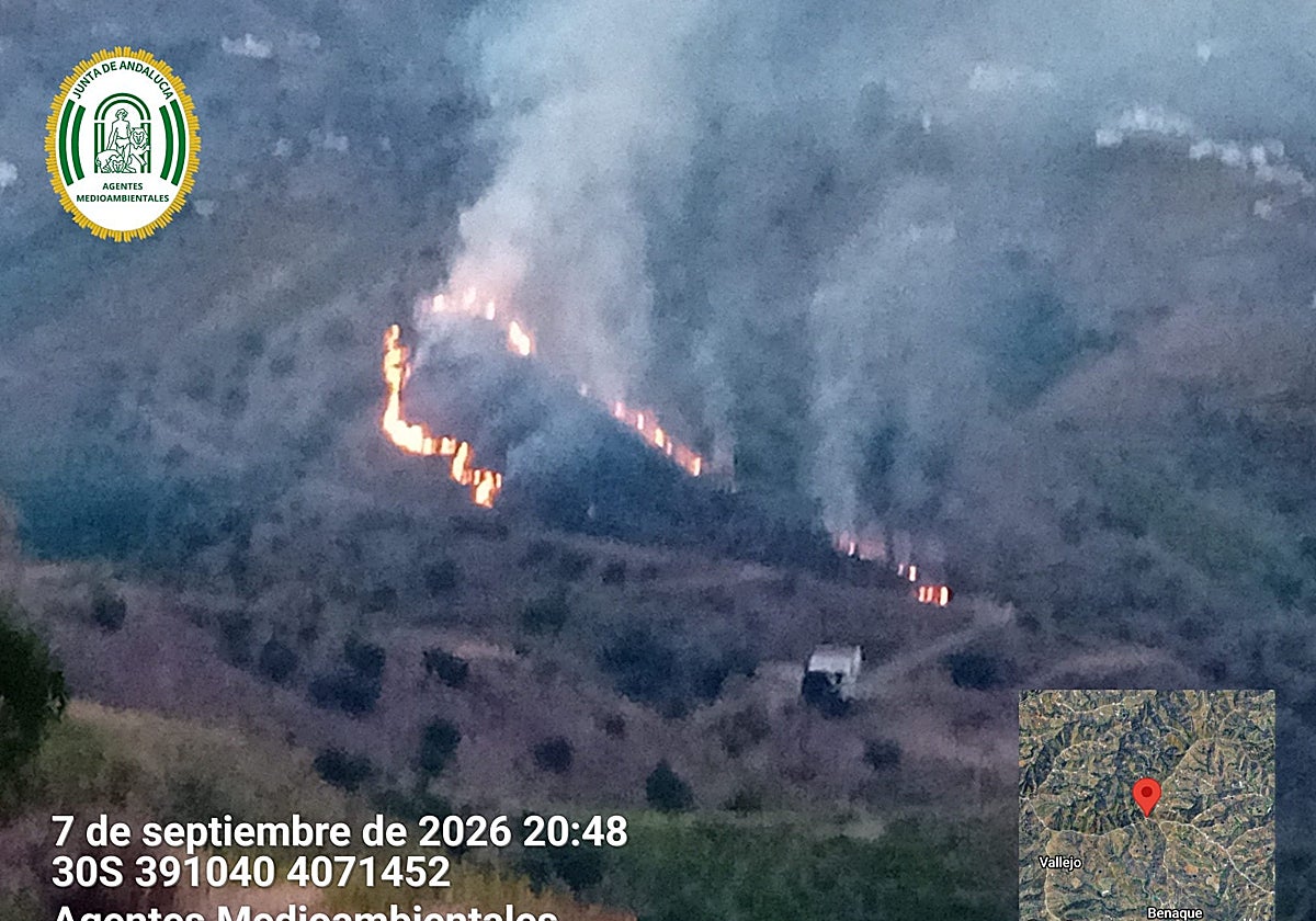 Estabilizado un incendio forestal en Almáchar con 25 bomberos y dos autobombas del Infoca