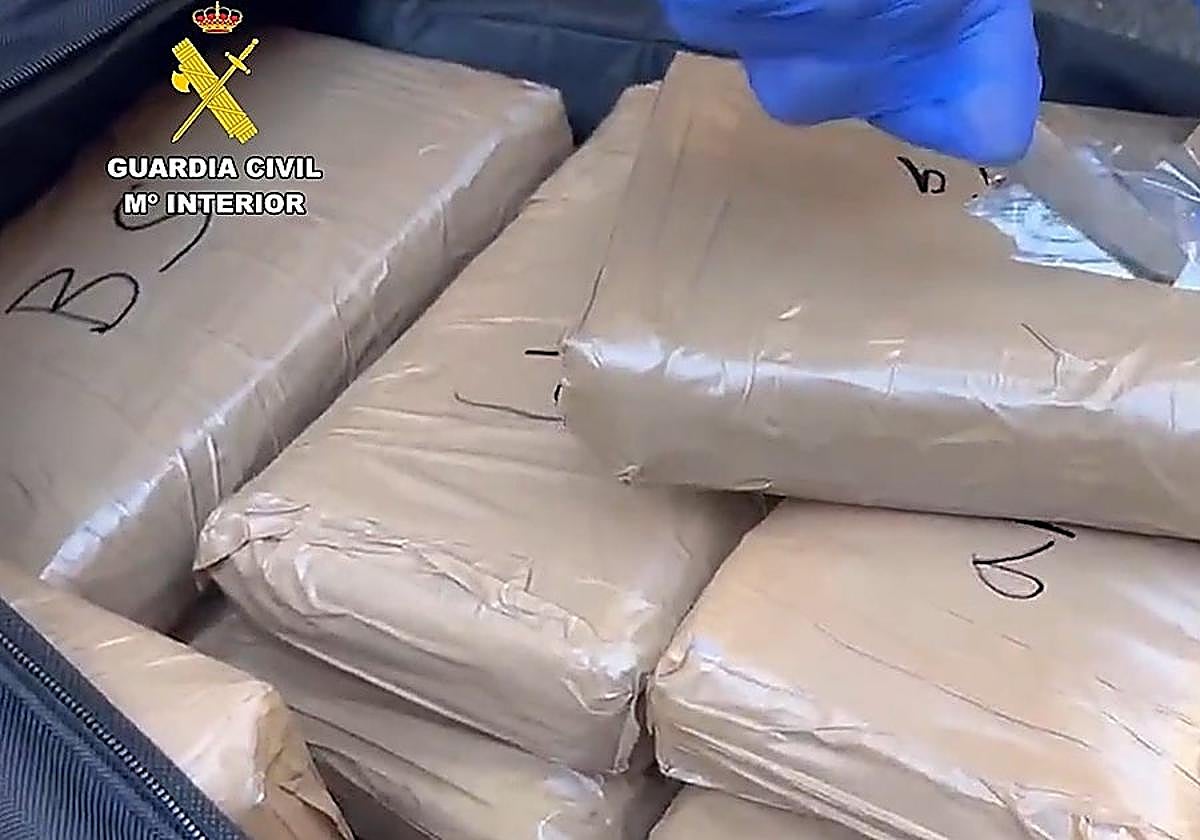Cae una importante banda británica asentada en Málaga que tráficaba con una tonelada de cocaína