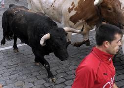 Los Victoriano del Río debutan con el encierro más rápido