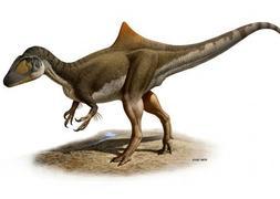 El dinosaurio jorobado de Cuenca