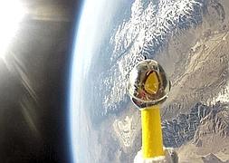 Camilla, el pollo de goma que viajó al espacio