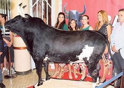 'Ratón', embalsamado.