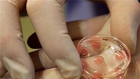 Decálogo para afrontar las emociones ante un tratamiento de fertilidad