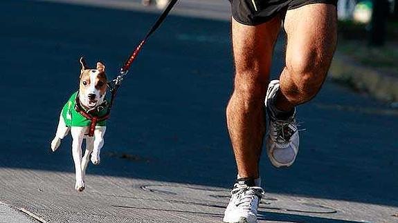 Un perro y su dueño, durante una carrera 