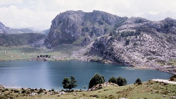 Foto parque nacional de Picos de europa. Lago de Enol 