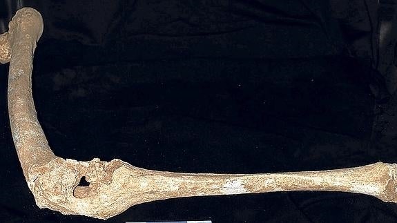 Identifican los restos del padre de Alejandro Magno