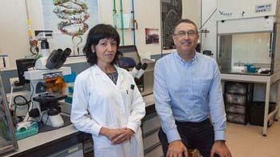 Los investigadores, Eva Falomir, profesora titular de la UJI, y el catedrático Miguel Carda Usó. 