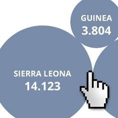Un año de transformación