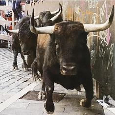Cartel de las corridas de toros de San Fermín 2016.