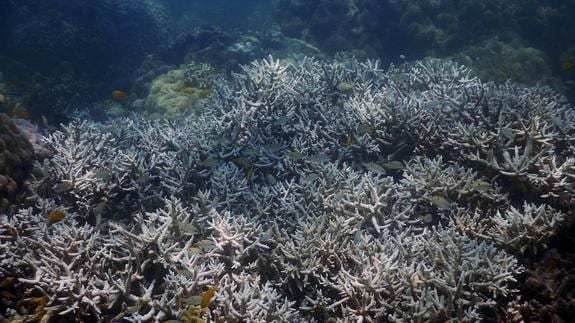 La Gran Barrera de Coral australiana.