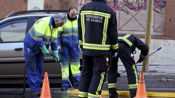 Unos bomberos trabajan en el lugar donde han encontrado el feto.