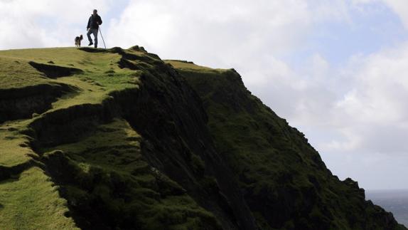 Un pastor irlandés camina con su perro. 