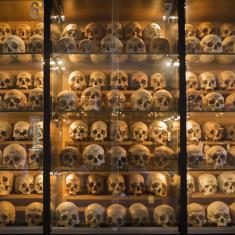 Colección de cráneos del Museo de Antropología Forense de Madrid.