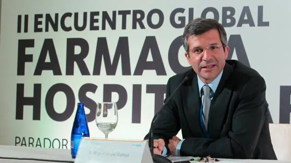 Miguel Ángel Calleja, presidente de la SEFH.