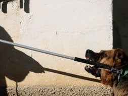 Los agentes se llevan al perro. EFE