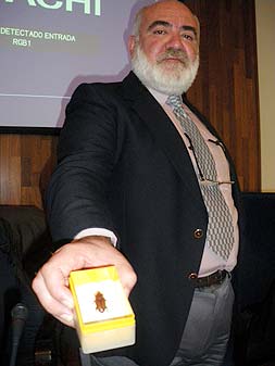 Científicos alertan de la presencia de una oruga que devora las palmeras