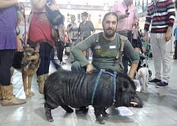 Jamon, el rey de 'La mascotada'