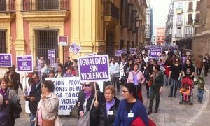 Participantes en la marcha hoy por el Centro. :: Carlos Moret