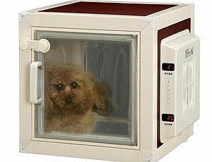 Imagen del invento con un perro dentro. ::SUR