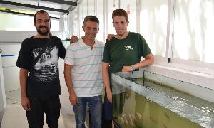 El Aula del Mar gestiona en Torrox el único criadero industrial de pez tilapia de España