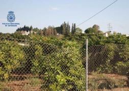 Finca donde se perpetró el robo.:: SUR