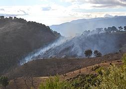 Hasta el lugar se desplazaron ocho retenes de bomberos forestales, una brigada de incendios y tres vehículos autobomba. :: SUR