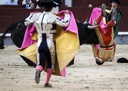 El diestro Jiménez Fortes cogido en el segundo de su lote en la corrida celebrada esta tarde en la monumental de Las Ventas, en Madrid. EFE