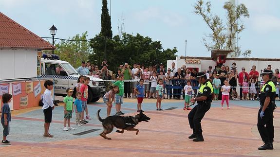 Las unidades caninas celebraron numerosas exhibiciones para los más pequeños. 